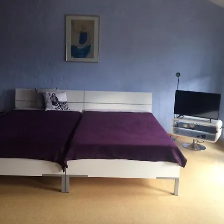 Apartment Natur Pur Geniessen In Unserem Grosszugigen Ferienhaus Hollig