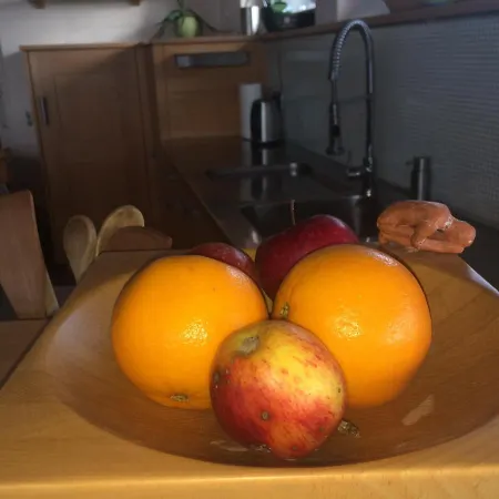 Apartment Natur Pur Geniessen In Unserem Grosszugigen Ferienhaus Hollig